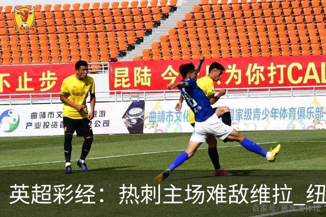 英超彩经：热刺主场难敌维拉 纽卡斯尔全取三分